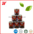 210g Tmt Brand Healthy Canned Nata De Coco